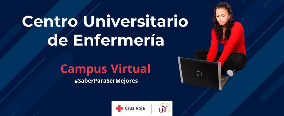 Acceder al Campus Virtual